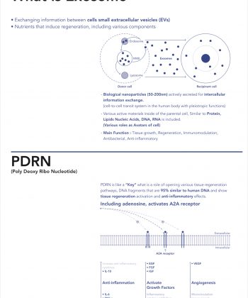 Petaran exosome poly exocomplex