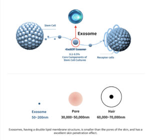 Dermaline PDX exosome PDRN Skin Booster