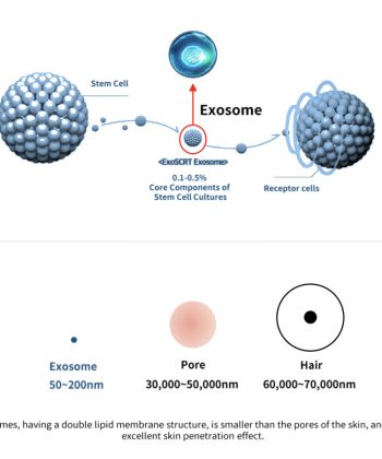 Dermaline PDX exosome PDRN Skin Booster