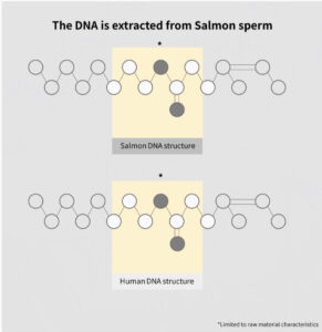 Dermaline PDX exosome PDRN Skin Booster