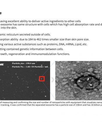 Dermaline PDX exosome PDRN Skin Booster