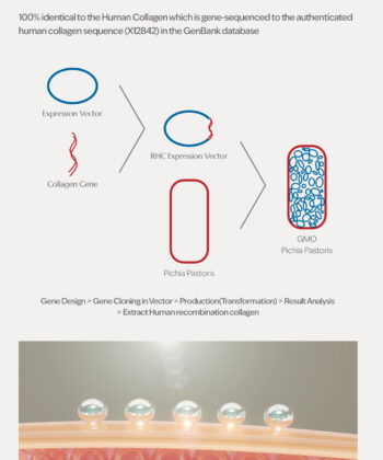 Skincolla human collagen