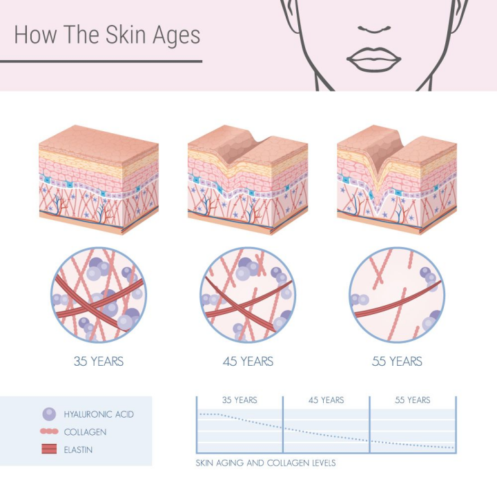 Recombinant Human Collagen