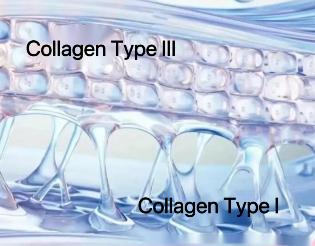 Recombinant Human Collagen